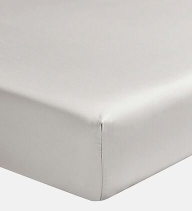 Teo Cotton Satin Fitted Bed Sheet