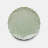 Glazed Porcelain Dinner Plate