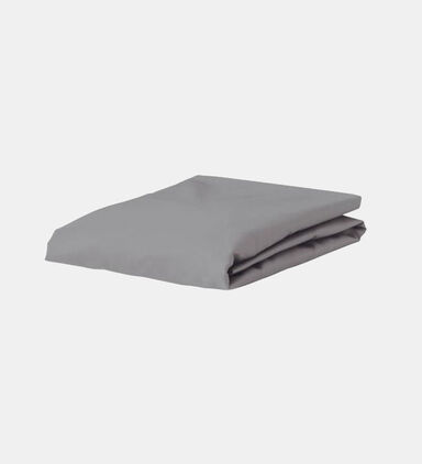 Cotton Jersey Fitted Sheet