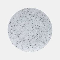 Masonry Porcelain Speckle Dinner Plate