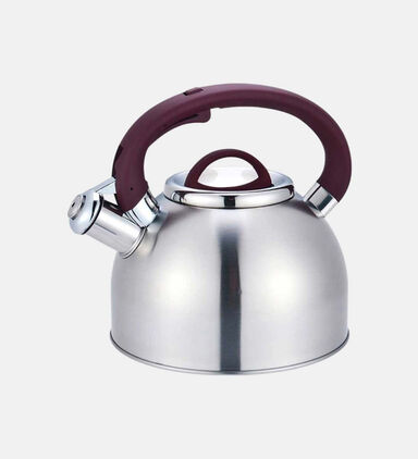 Stainless Steel Whistling Kettle