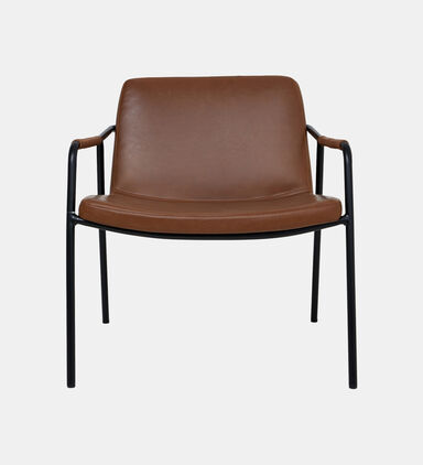 Boto Metal Leather Lounge Chair