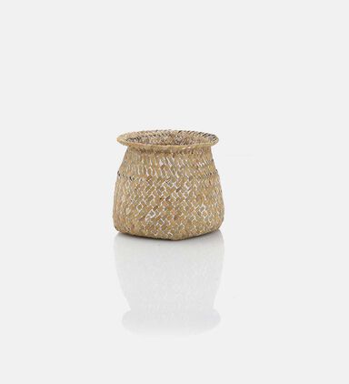 Seagrass Flower-plants Pot