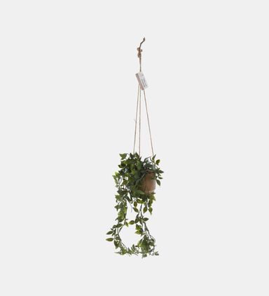 Ceramic Pot Hanging Plants