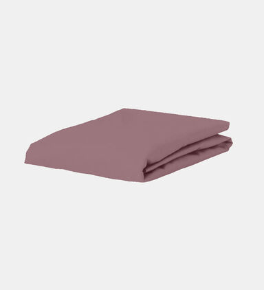 Cotton Flatsheet