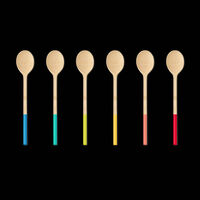 Multicolored Small Mixing Spoon