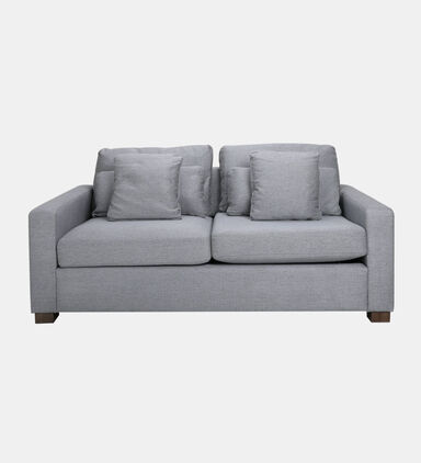 Samsee Fabric Pull-out Bed Sofa