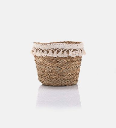 Straw Fringes Baskets 2-piece Set